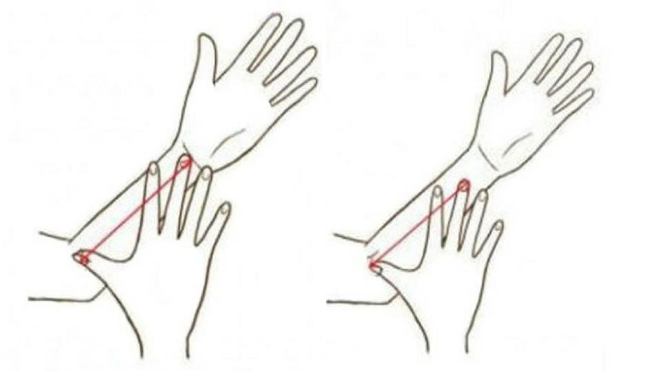 8d043c99124ddc2af2f4