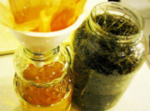 SIRUP_BOROVE_IGLICE