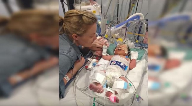 beba-2-650x361