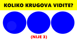 krugovi-broj