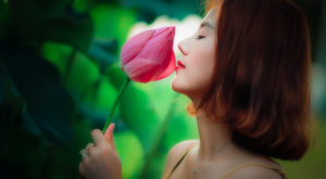 vietnam-1514246_1280