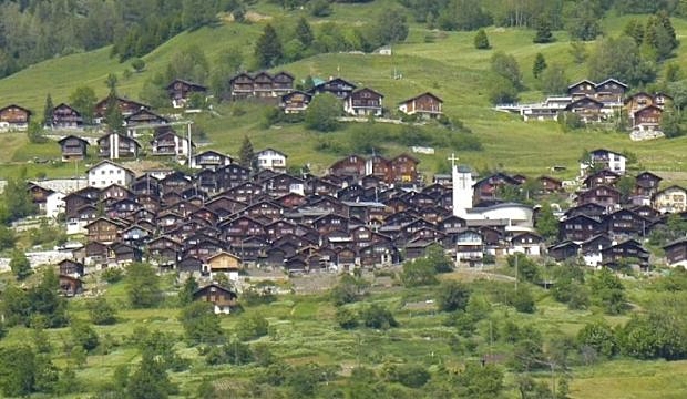 albinen-svicarska-1
