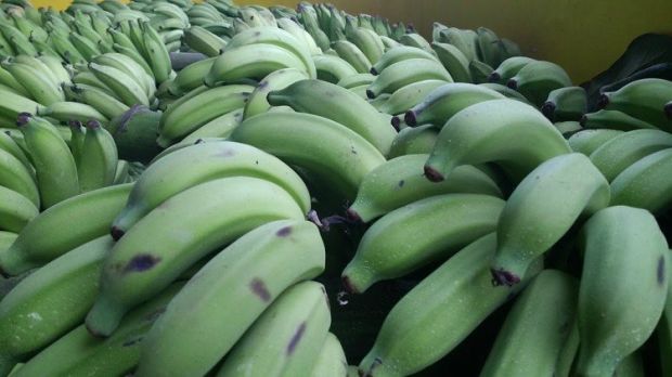 banane-1