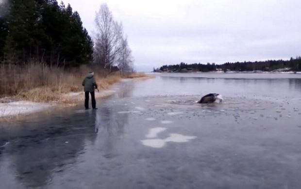 jezero-los