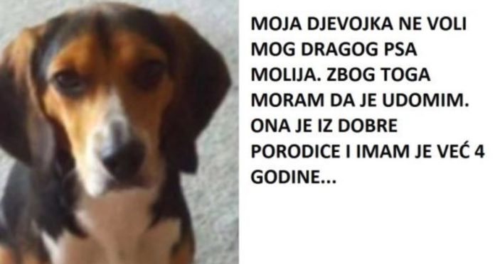 pas-oglas-feat-696x372