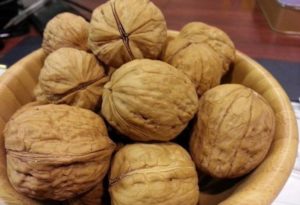 HK_nut_堅果_Juglans_regia_合桃_Dec-2013-660x450