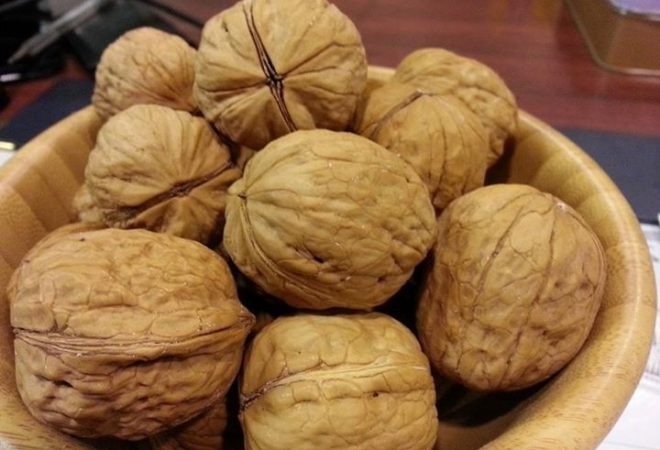HK_nut_堅果_Juglans_regia_合桃_Dec-2013-660x450