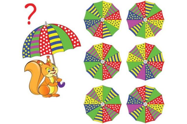 only-a-true-genius-could-figure-out-what-this-umbrella-looks-like-based-on-a-side-view-753544396-Cernecka-Natalja-760x506