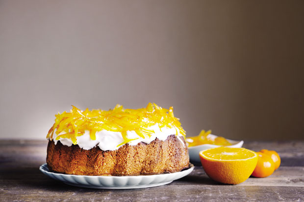 14-torta-pomorandza