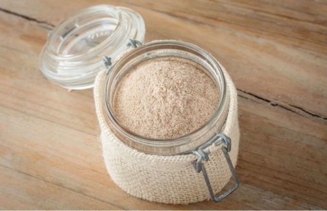 61317569-psyllium-psyllium-ljuskice