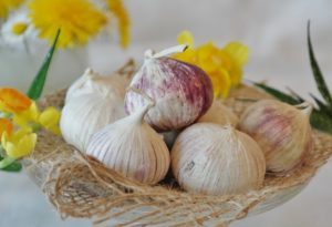 garlic-2254675_960_720-660x450