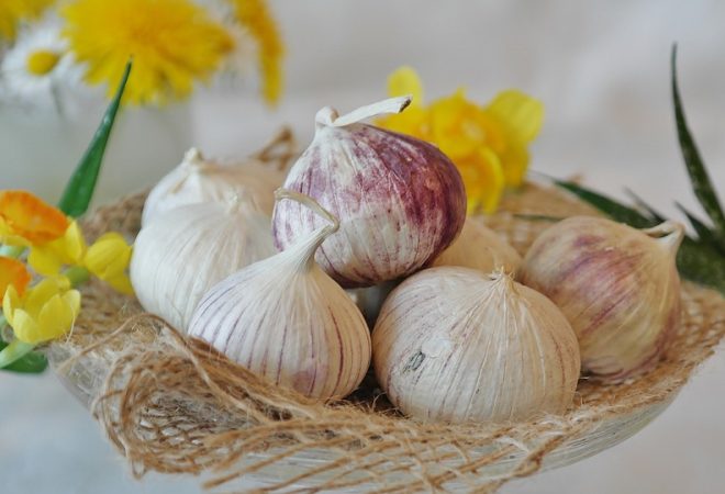 garlic-2254675_960_720-660x450