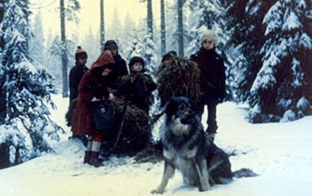 jelenko