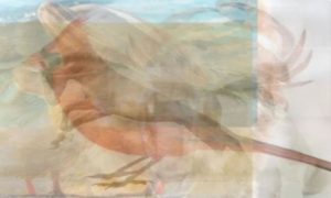 9b8177a09d5522061478 (1)