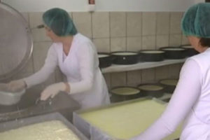 Ljupka-i-Marta-su-vrijedne-i-predane-svom-poslu