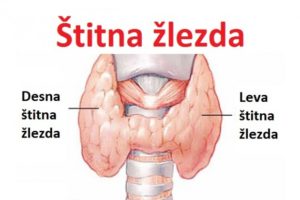 stitna-zl1-620x413