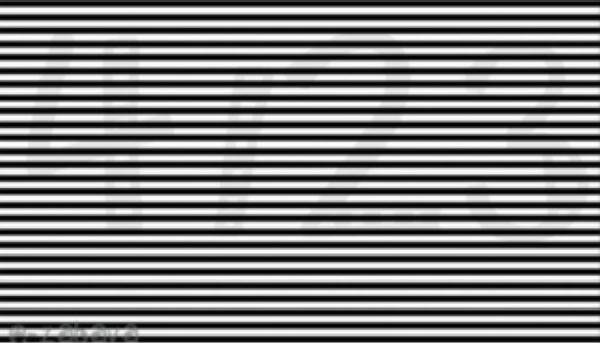 8B1D914C-1CF2-49E8-94D3-49A61AA9885D