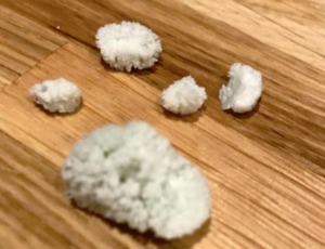 tvrda