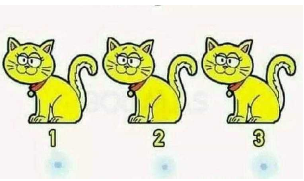 djsjfhsdjhfsdf7s8d97f9s8d78dsf98sd7f8sduoifdsufsdf
