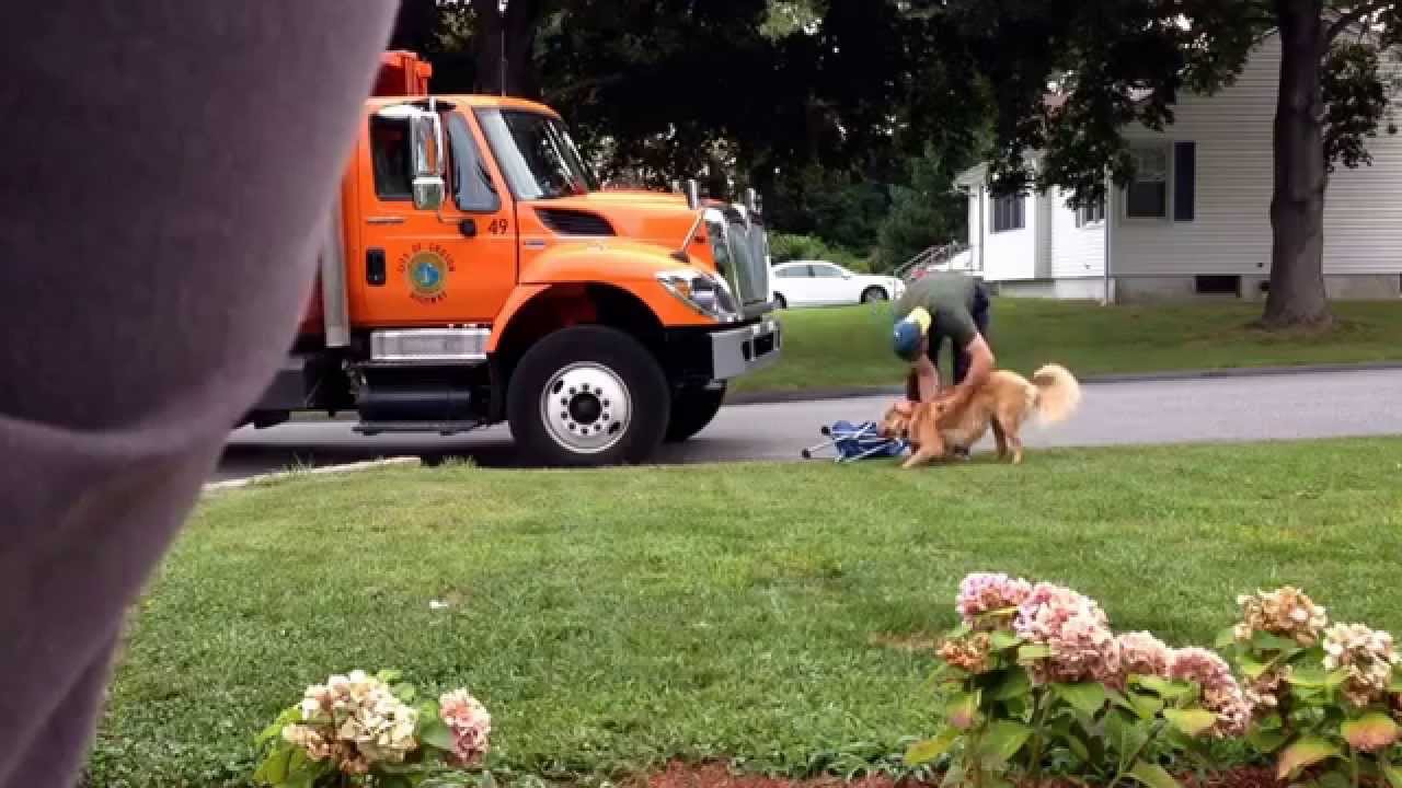32554