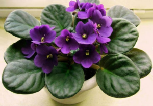 image-34