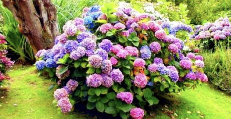 image-64