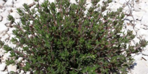 image-47