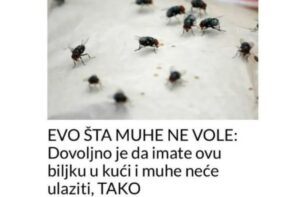 muhe