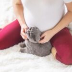 Ovo ponašanje vaše mačke ima značenje koje većina vlasnika nikada ne shvati