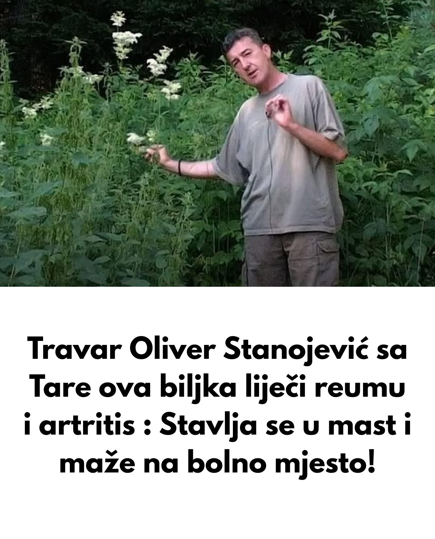 Jedite tri hurme dnevno i OVIH 5 stvari će se dogoditi vašem tijelu! Pod hitno trebate probati (2)