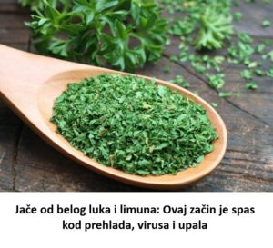 origano