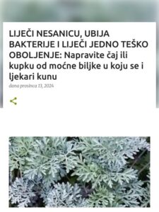493276843_672802938977445_5129358407120425561_n