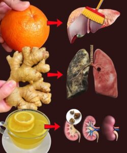 495492276_1255831469437195_4108228278924059007_n