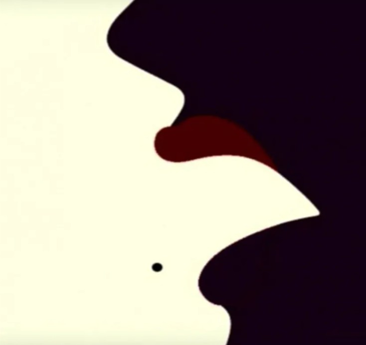 vidite