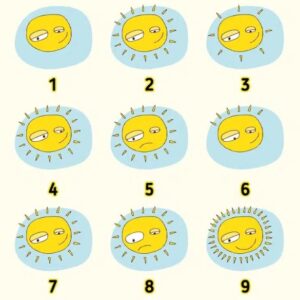sunca