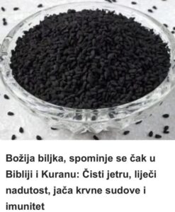 571639970_1414899060196806_1057899708213502975_n