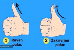 palac
