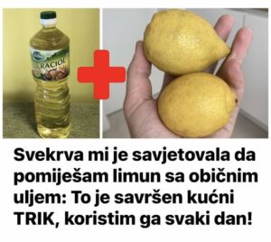 628461440_1349757937178284_5173313565873270863_n