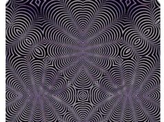 Na ovoj slici se kriju dvije životinje, prva koju uočite otkriva vašu najskriveniju osobinu