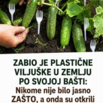 ZABIO JE PLASTIČNE VILJUŠKE U ZEMLJU PO SVOJOJ BAŠTI: Nikome nije bilo jasno ZAŠTO, a onda su otkrili razlog – GENIJALNO