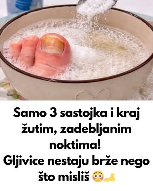 698766360_994429766614949_106573461809984093_n