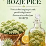 LIKER OD HAJDUČKE TRAVE JE BOŽJE PIĆE: Pomaže kod angine pektoris, gastritisa i gihta sve do reumatizma i čireva (RECEPT)