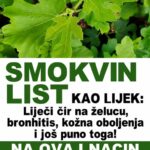 SMOKVIN LIST KAO LIJEK: Liječi čir na želucu, bronhitis, kožna oboljenja i još puno toga! Na ovaj nacin se pravi
