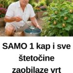 SAMO 1 kap i sve štetočine zaobilaze vrt