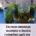 ČAJ KOJI OBNAVLJA SLUZNICU U ŽELUCA I USPJEŠNO LIJEČI SVE ŽELUČANE TEGOBE!