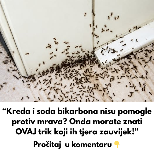 “Kreda i soda bikarbona nisu pomogle protiv mrava Onda morate znati OVAJ trik koji ih tjera zauvijek!”