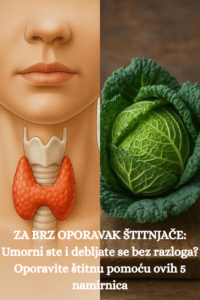 ZA BRZ OPORAVAK ŠTITNJAČE Umorni ste i debljate se bez razloga Oporavite štitnu pomoću ovih 5 namirnica