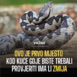 Ovo je prvo mjesto kod kuće gdje biste trebali provjeriti ima li zmija
