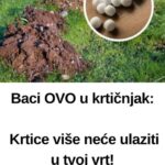 Baci OVO u krtičnjak: Krtice više neće ulaziti u tvoj vrt!