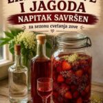 Liker od zove i jagoda – napitak savršen za sezonu cvetanja zove